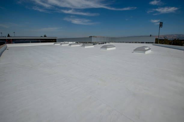 Best Rubber Roofing (EPDM, TPO)  in Edgerton, MN